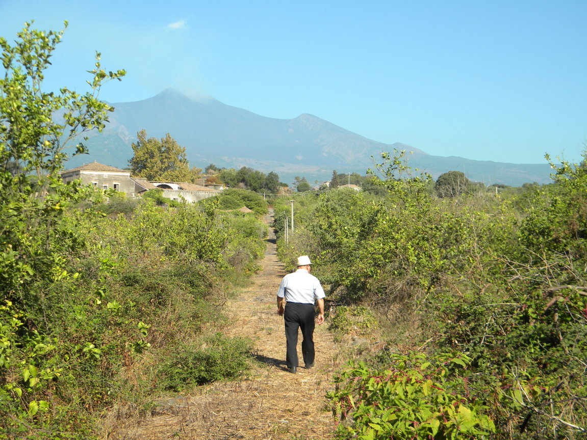 DSCN8150 .JPG